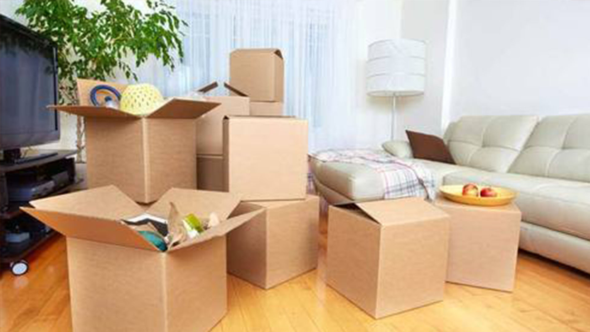 About Us Shifters & Movers