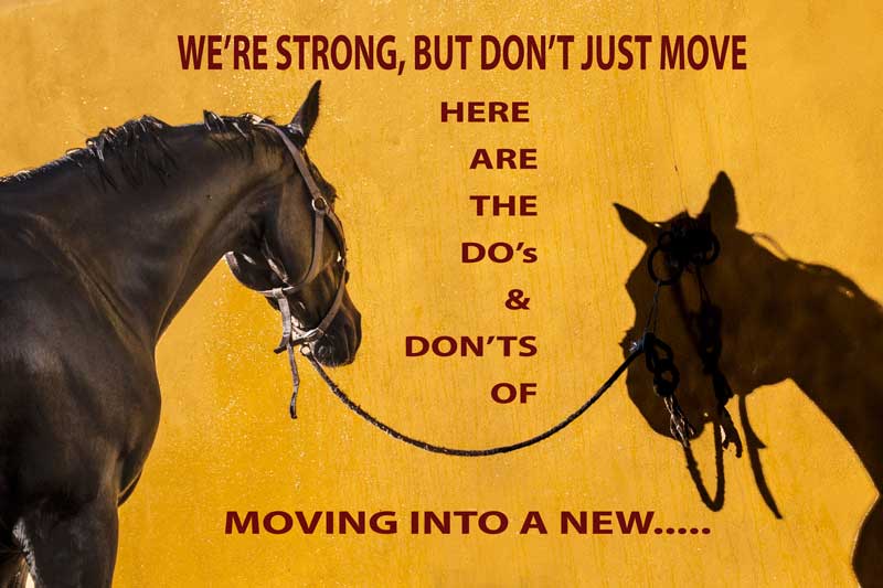Moving into a new apartment, professional relocation company, professional movers, house movers, dos and don’ts of moving
