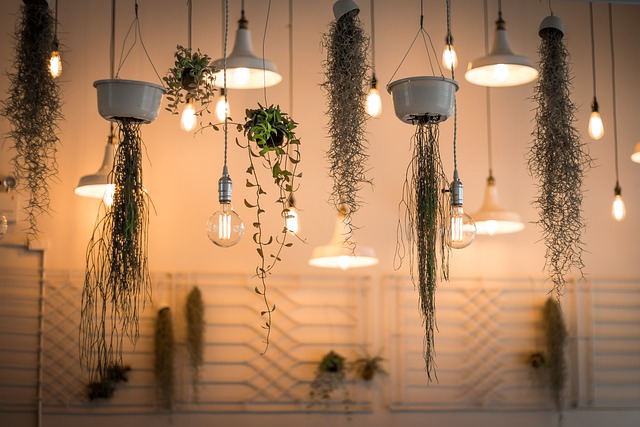 lighting in interior design, types of lighting in interior design, ambient lighting in interior design, accent lighting in interior design.